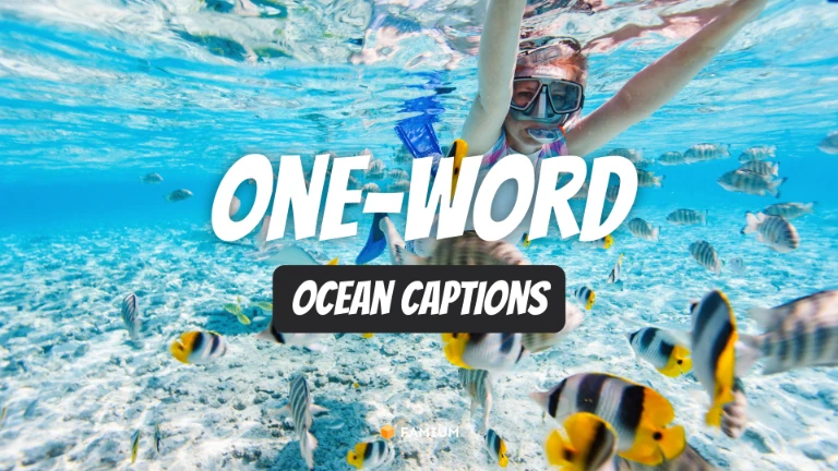One-Word Ocean Captions for Instagram